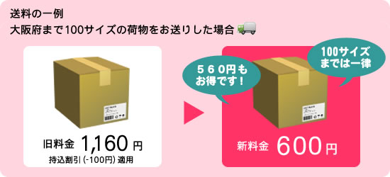 例:大阪府まで100サイズの荷物をお送りした場合