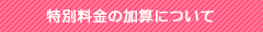 特別料金の加算について