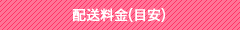配送料金(目安)